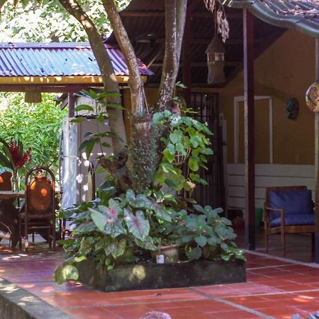 Mi Refugio Tayrona 호텔 산타마르타 외부 사진