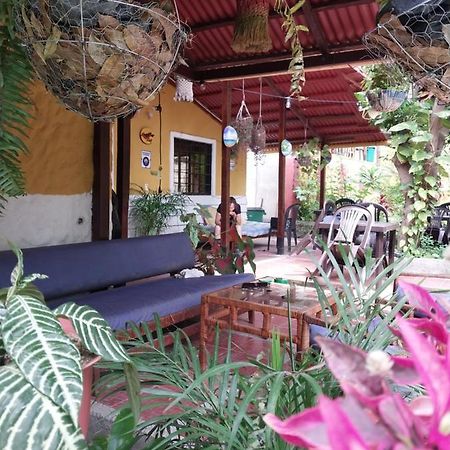 Mi Refugio Tayrona 호텔 산타마르타 외부 사진