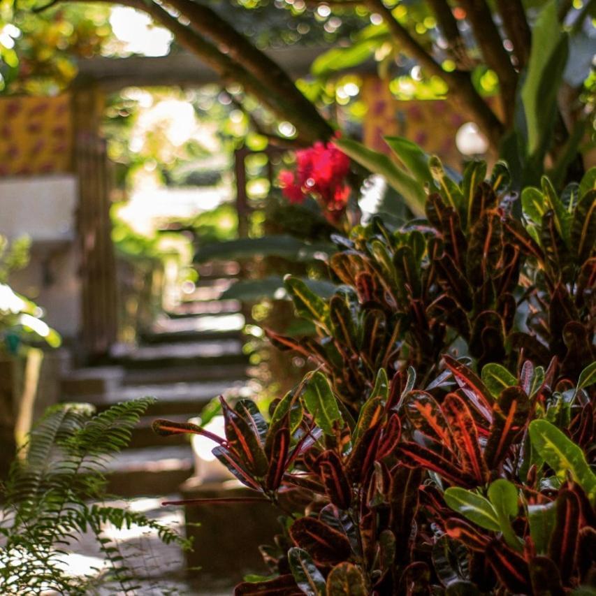 Mi Refugio Tayrona 호텔 산타마르타 외부 사진