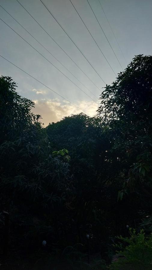 Mi Refugio Tayrona 호텔 산타마르타 외부 사진