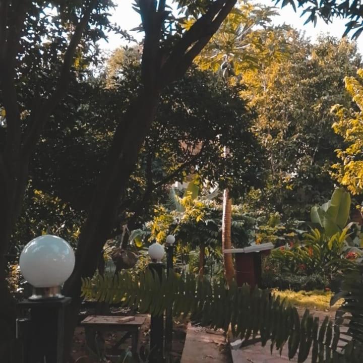 Mi Refugio Tayrona 호텔 산타마르타 외부 사진